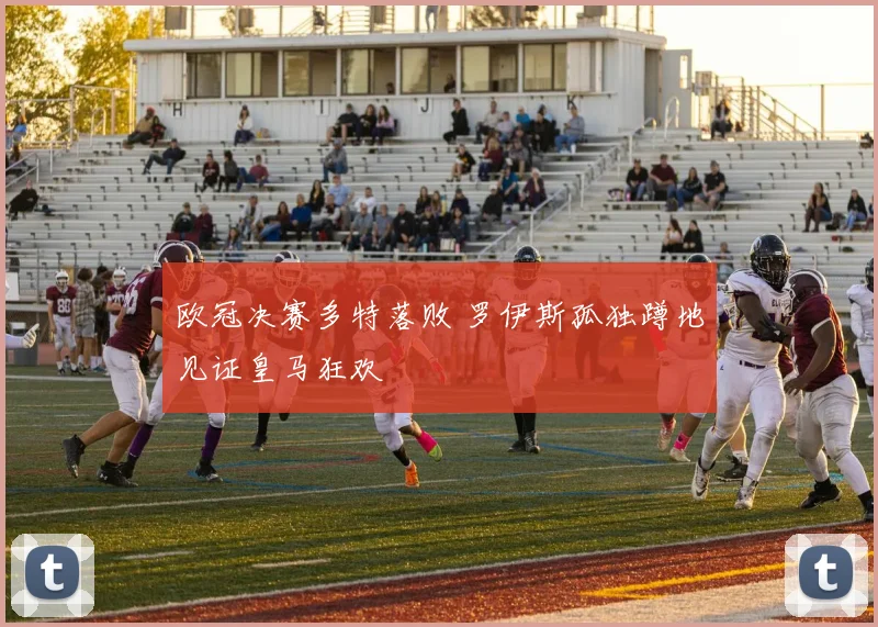 欧冠决赛多特落败 罗伊斯孤独蹲地见证皇马狂欢