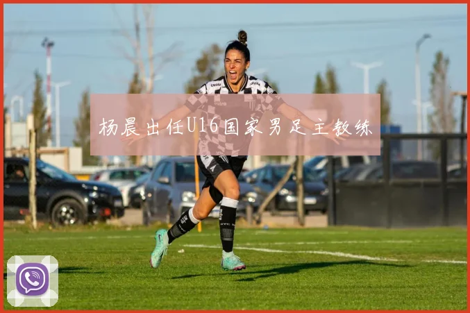 杨晨出任U16国家男足主教练