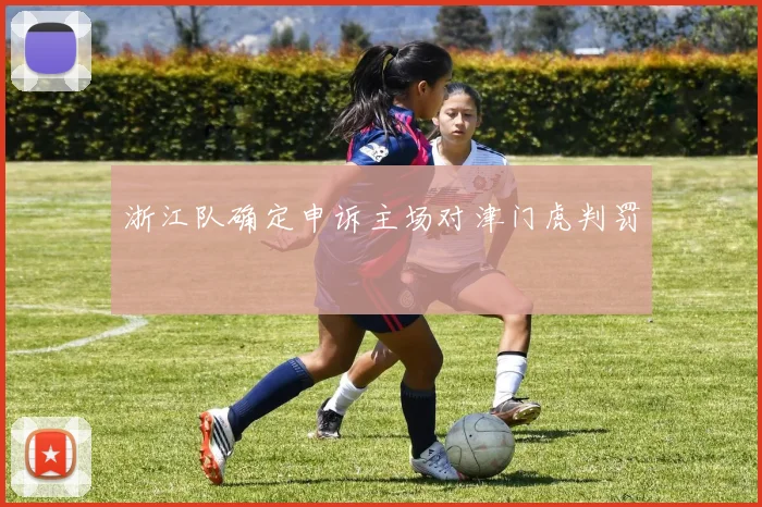 浙江队确定申诉主场对津门虎判罚