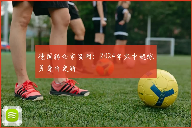 德国转会市场网：2024年末中超球员身价更新