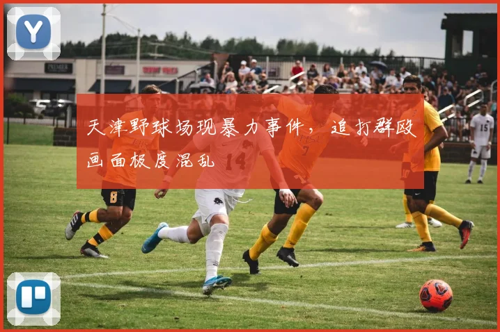 天津野球场现暴力事件，追打群殴画面极度混乱