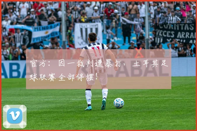 官方：因一裁判遭暴打，土耳其足球联赛全部停摆！