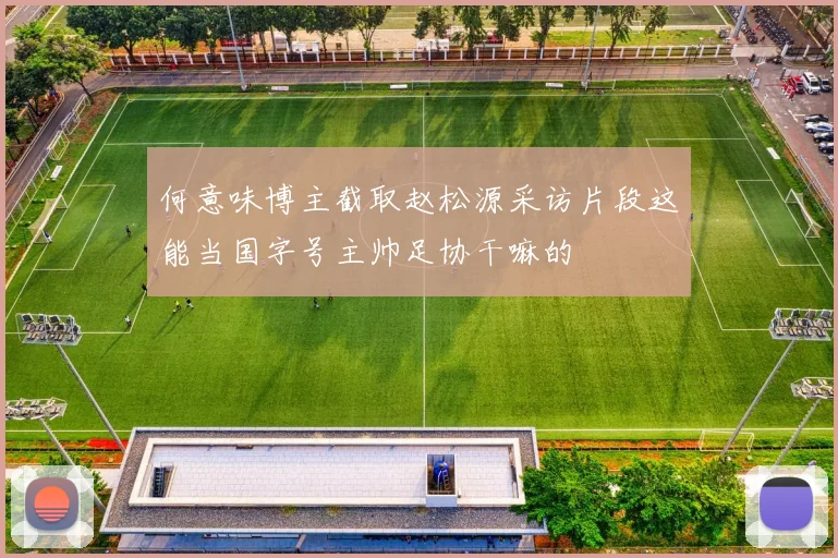 何意味博主截取赵松源采访片段这能当国字号主帅足协干嘛的